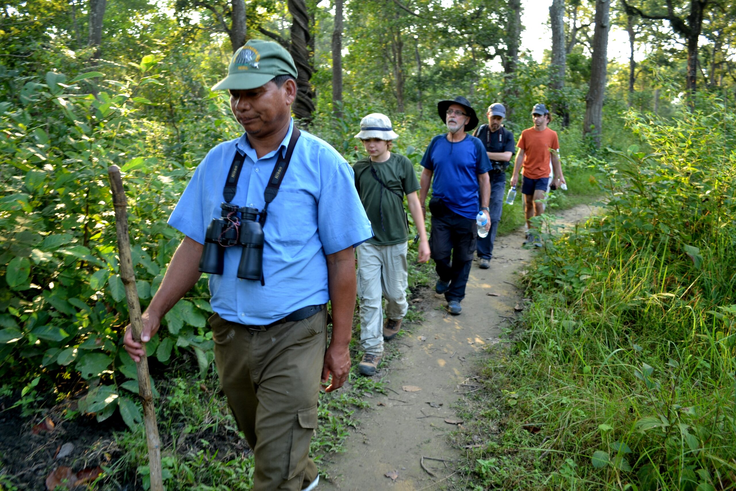 Expert naturalist guide leading tourists on jungle walk safari through Chitwan National Park forest trail, organized by Rhino Lodge & Hotel Sauraha Nepal